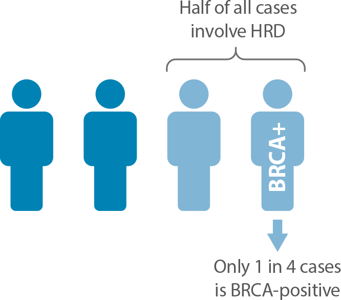 Homologous Recombination Deficiency in Ovarian Cancer Cases