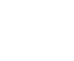 Caris Logo