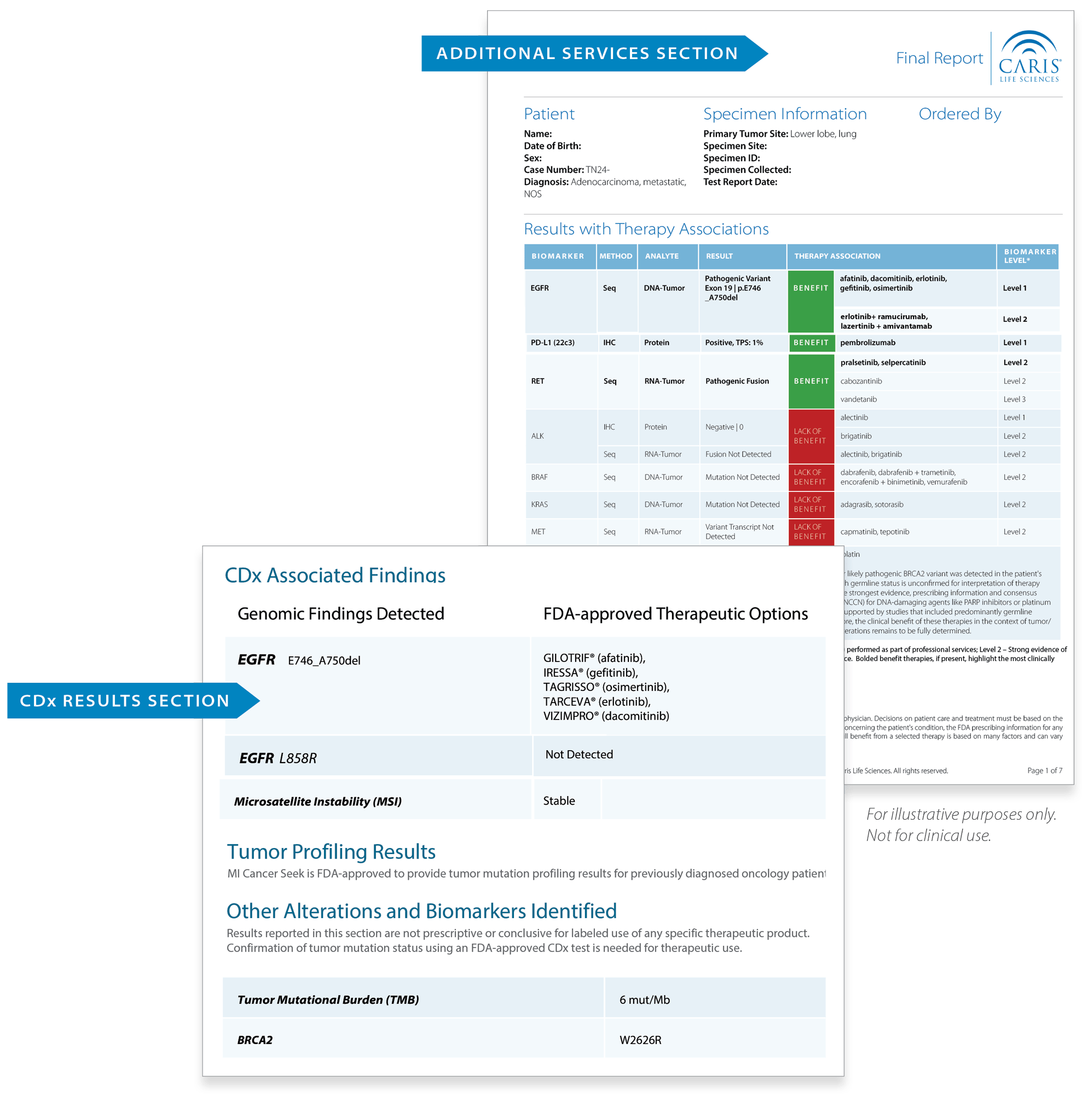 MI-Cancer-Seek-Sample-Report